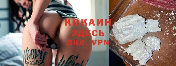 крисы Верея