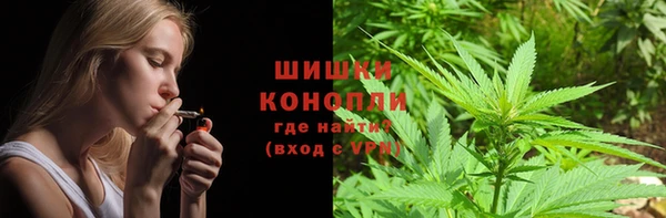прущие грибы Волоколамск