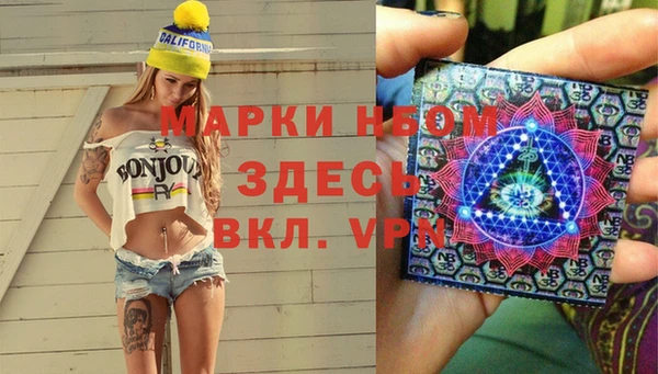 прущие грибы Волоколамск