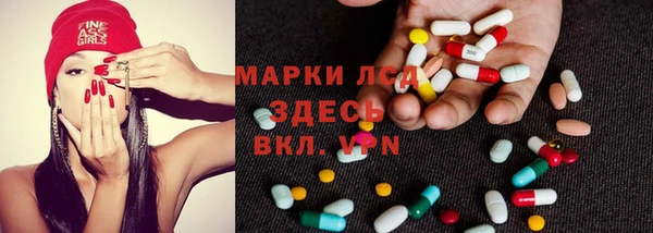 прущие грибы Волоколамск